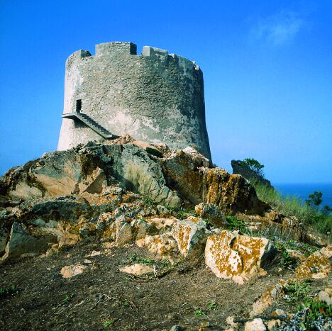 Santa Teresa di Gallura - Torre Longosardo o Torre di Santa Teresa