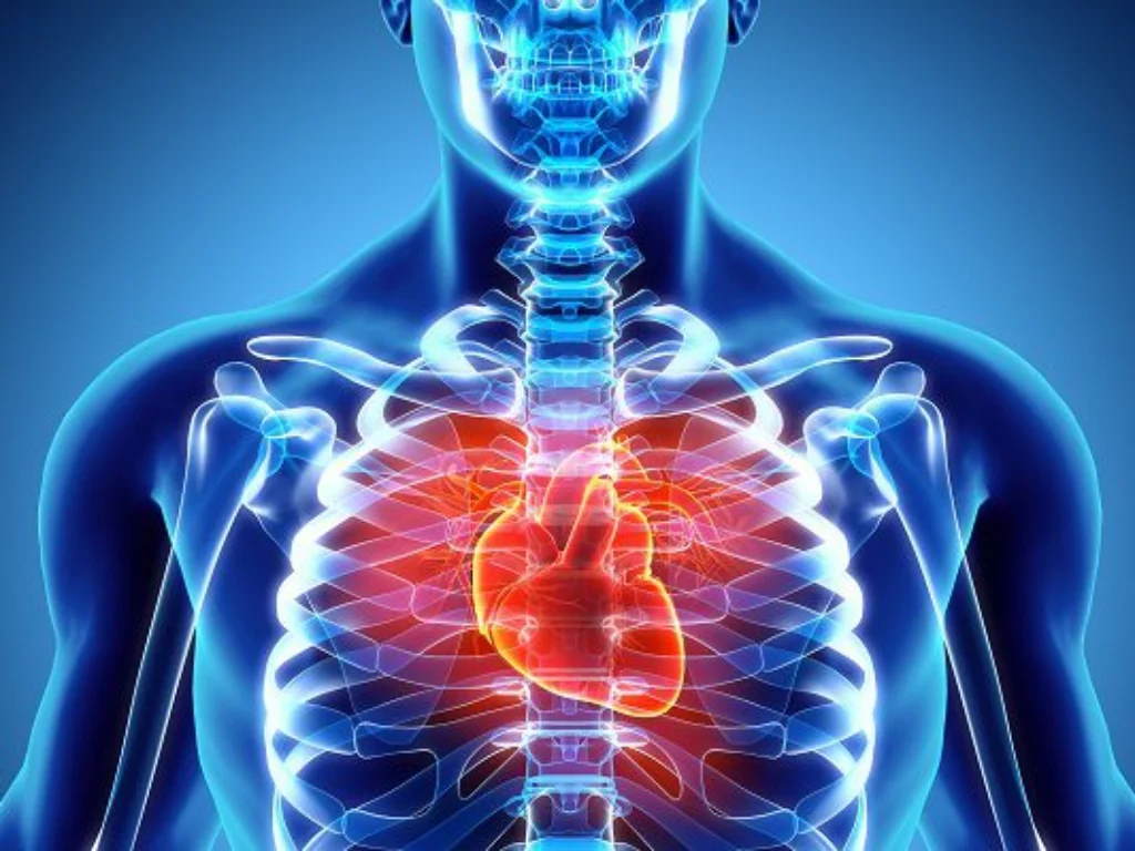 Le malattie cardiache