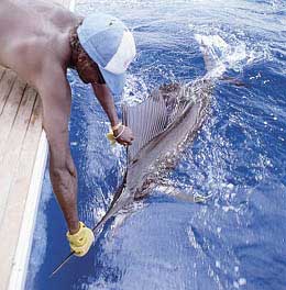 Che cos'Ã¨ la pesca sportiva