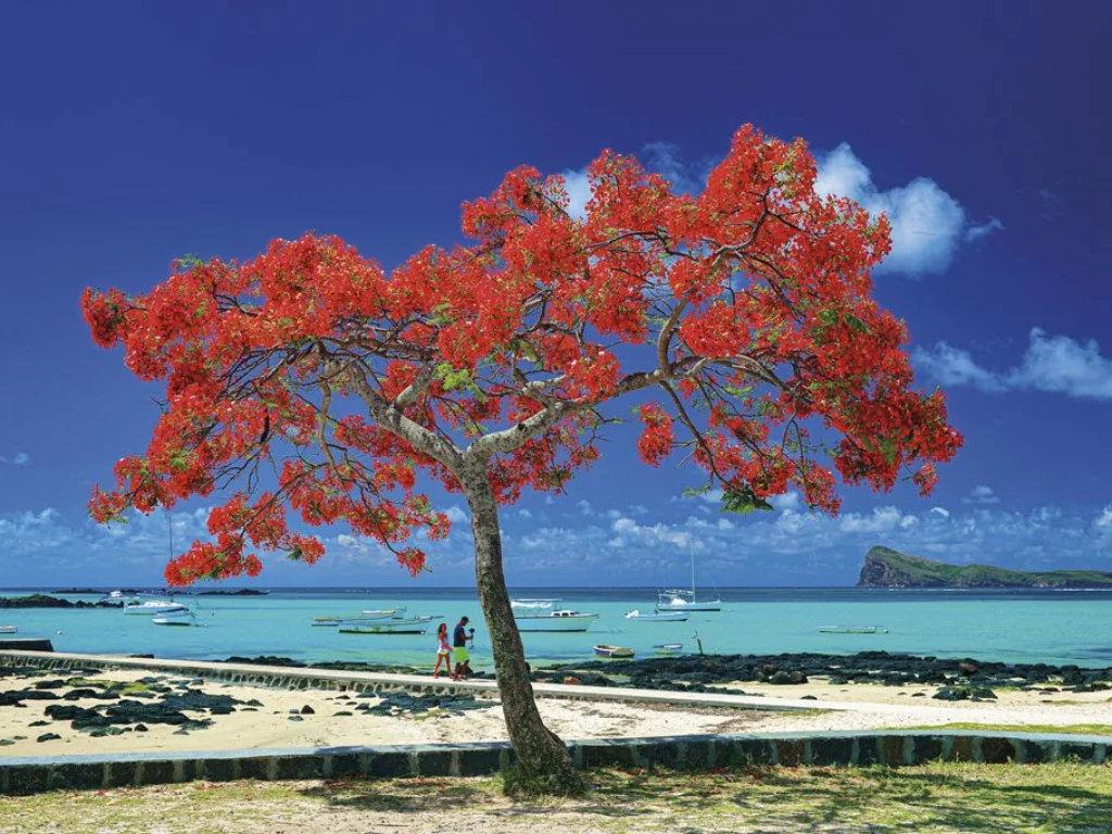 Isola di Mauritius