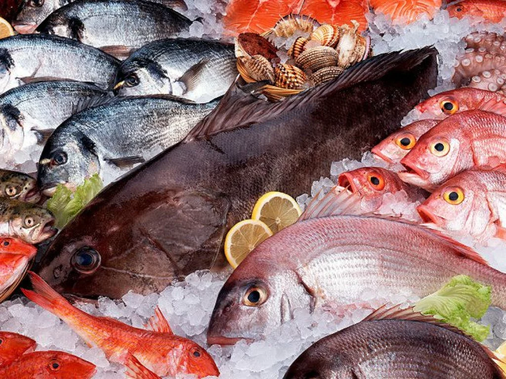 Pesce crudo fresco