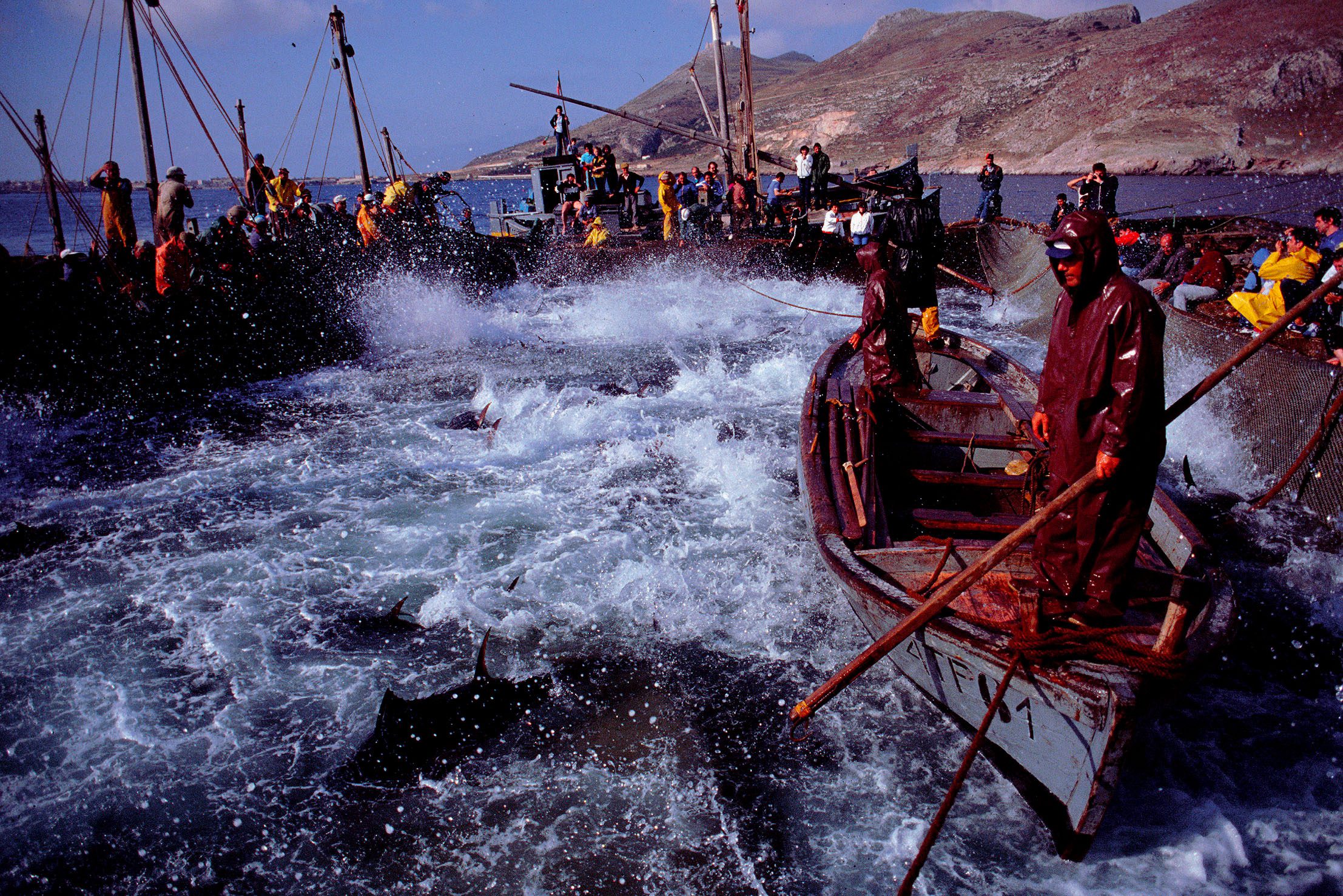 La mattanza dei tonni