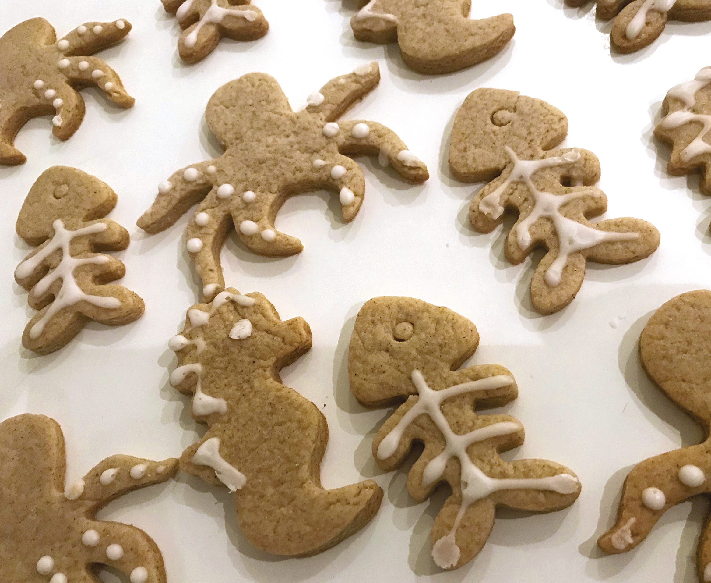 Biscotti-Natale alla cannella