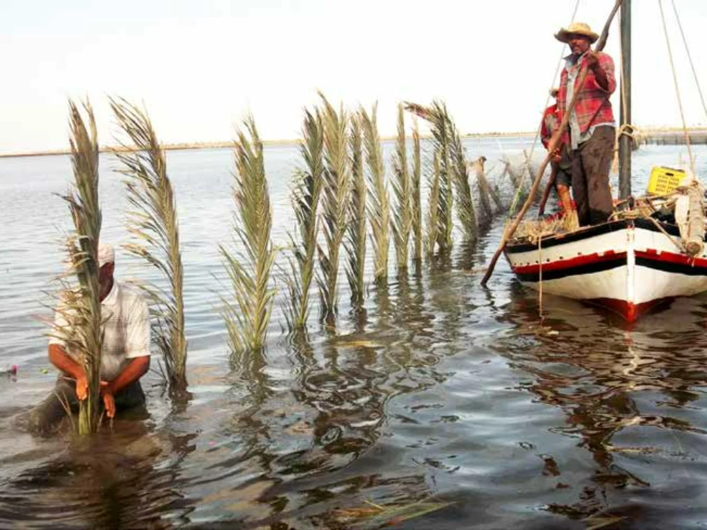 pesca sostenibile