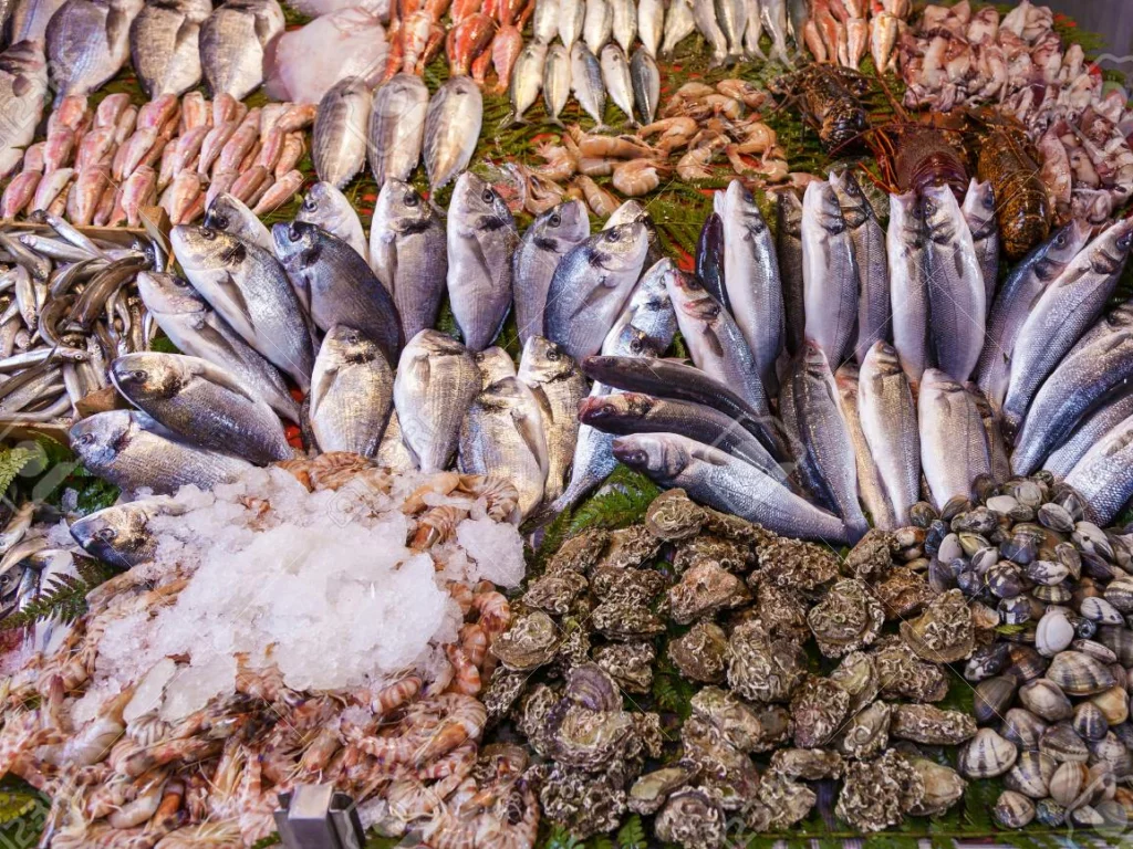 Fish Market in Istanbul