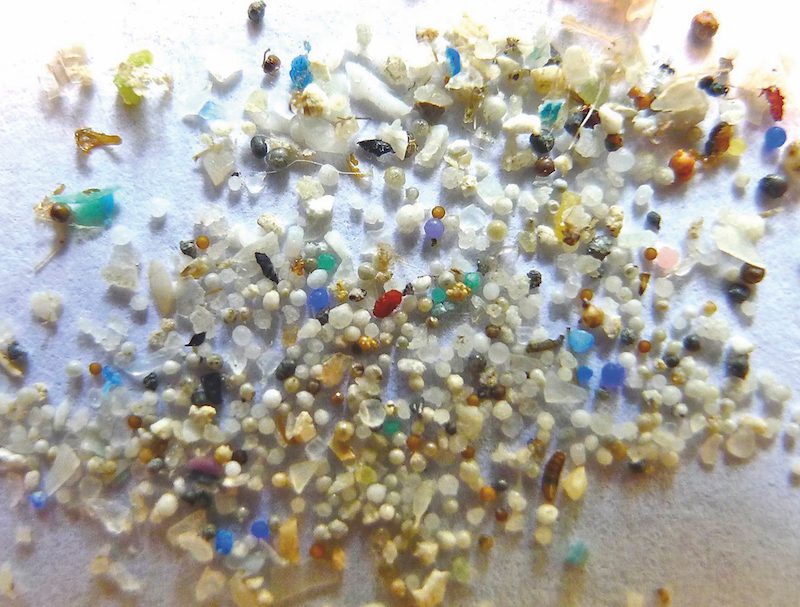 microplastiche