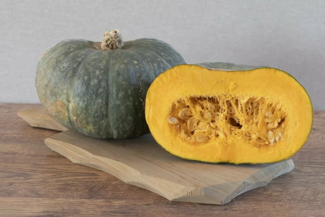 zucca-delicia-web