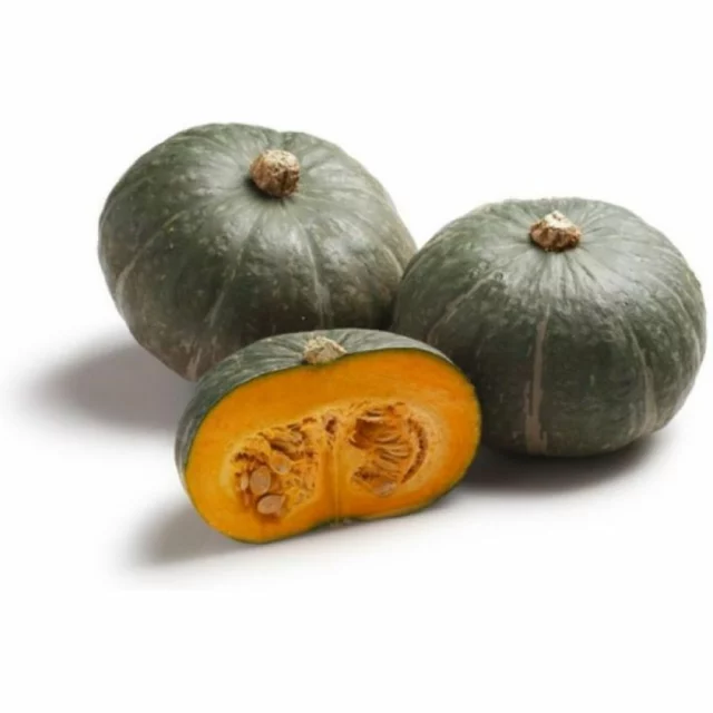 zucca-mantovana-web