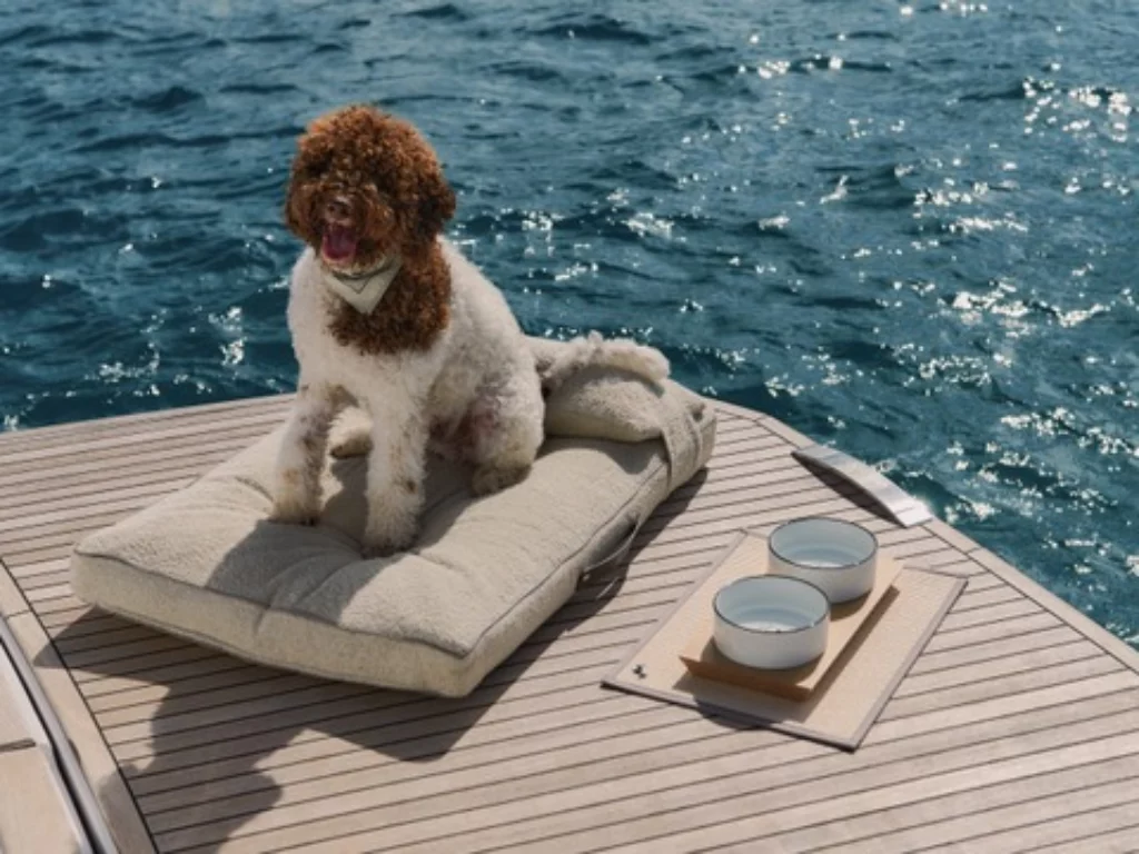 Poldo Dog Couture e Pardo Yachts lanciano una linea di lusso per cani. Scopri l'esclusivo kit yachting per il 2024!