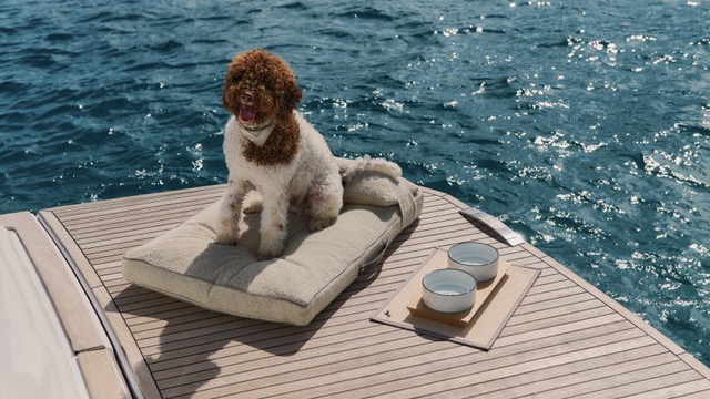 Poldo Dog Couture e Pardo Yachts lanciano una linea di lusso per cani. Scopri l'esclusivo kit yachting per il 2024!