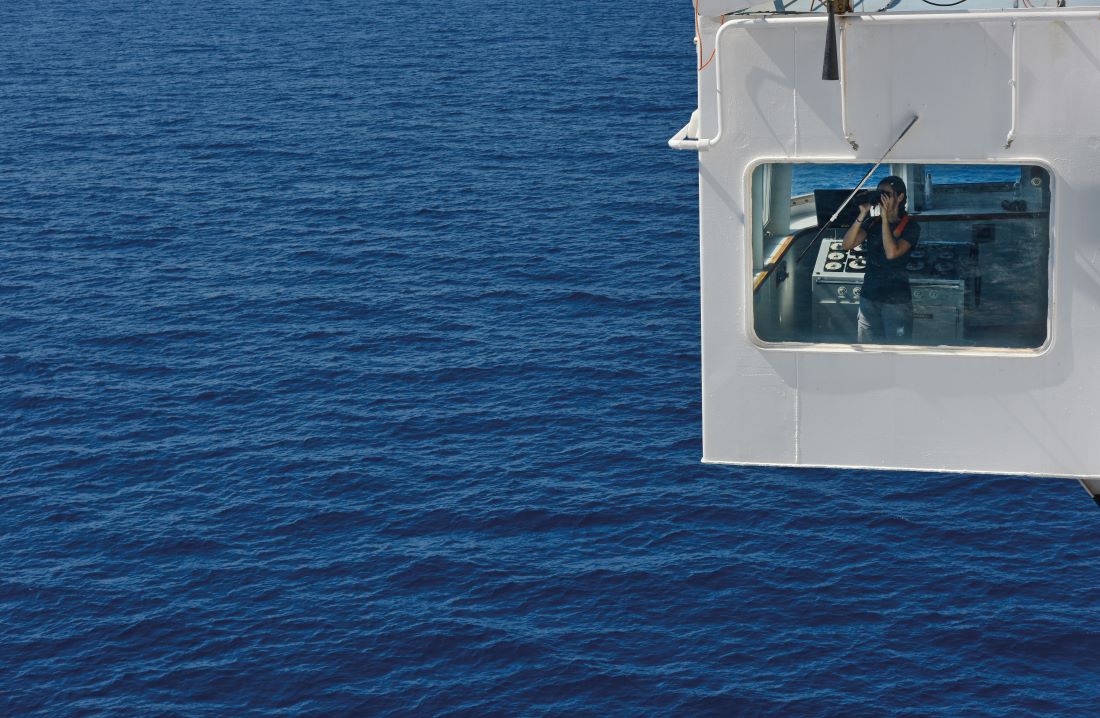 osservazione cetacei