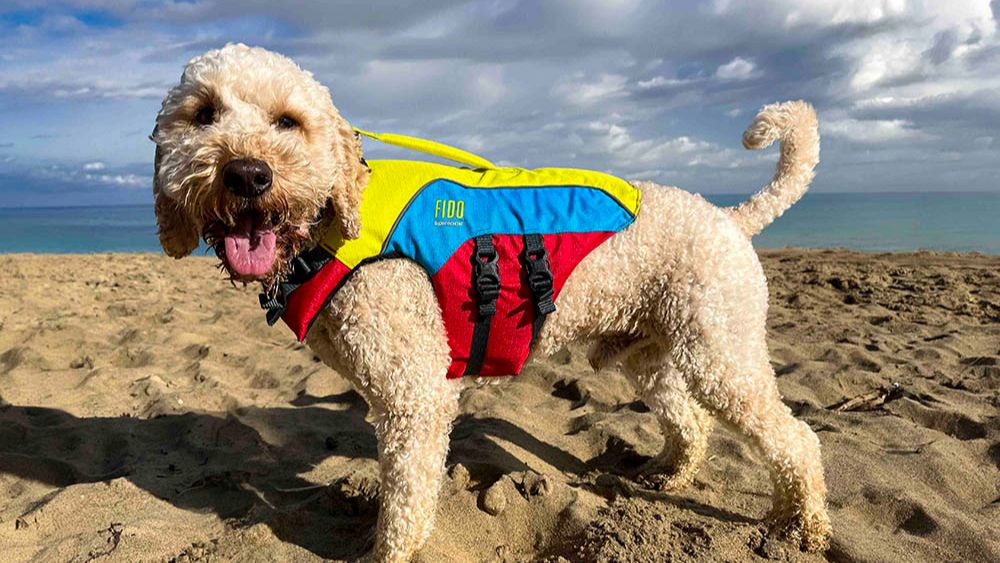 Spinlock lancia FIDO, il giubbotto di salvataggio per cani, garantendo comfort e sicurezza in ogni avventura in mare.