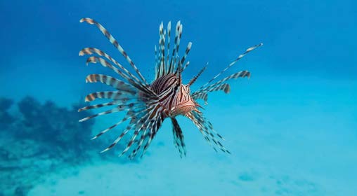 riscaldamento globale