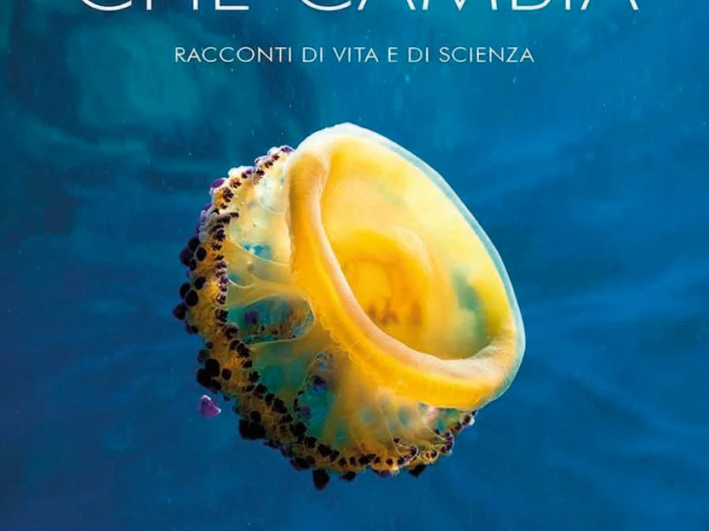 Libro Oceano che cambia