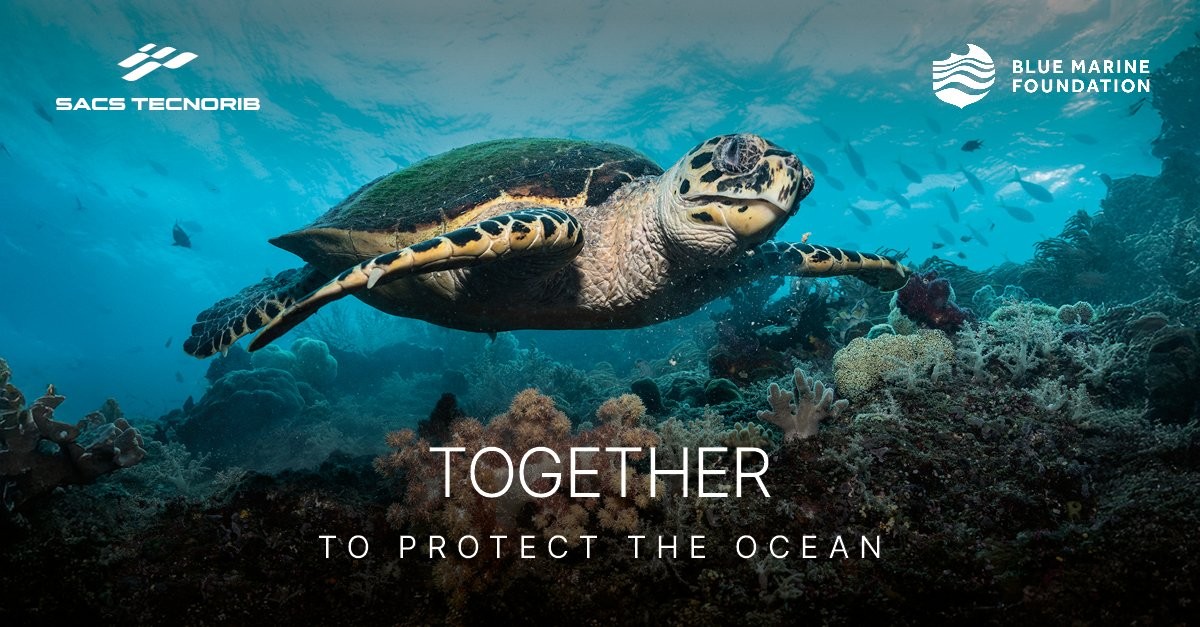 SACS Tecnorib si allea con Blue Marine Foundation per proteggere gli oceani: una partnership che unisce nautica di lusso e sostenibilità marina.