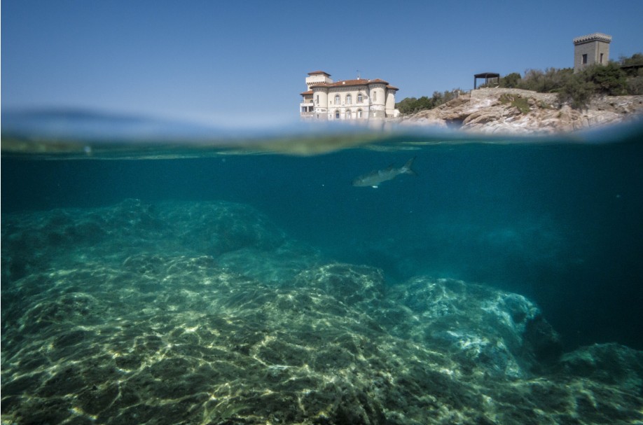 Dal 14 al 17 maggio 2025 Livorno ospita Blu Livorno, la prima Biennale del Mare e dell’Acqua sostenibile.